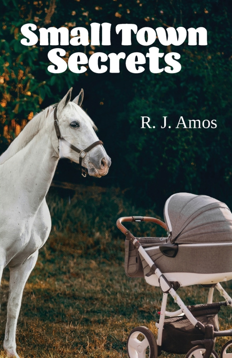 Kniha Small Town Secrets R. J. Amos
