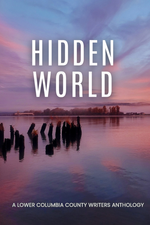 Kniha Hidden World Ellen Jacobson