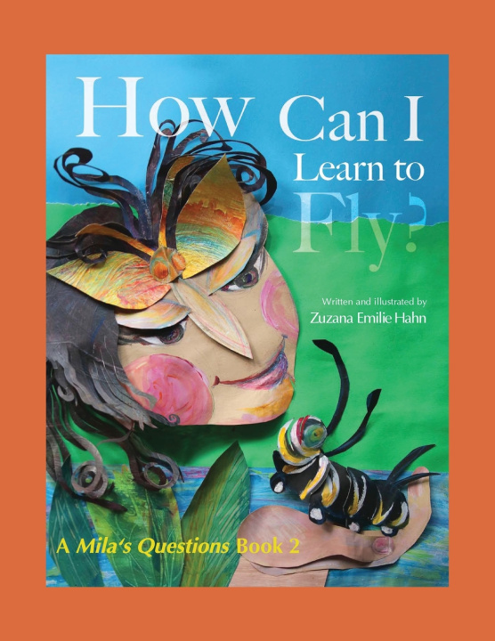 Kniha How Can I Learn To Fly Zuzana Hahn
