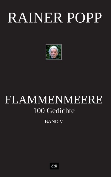 Kniha Flammenmeere Rainer Popp