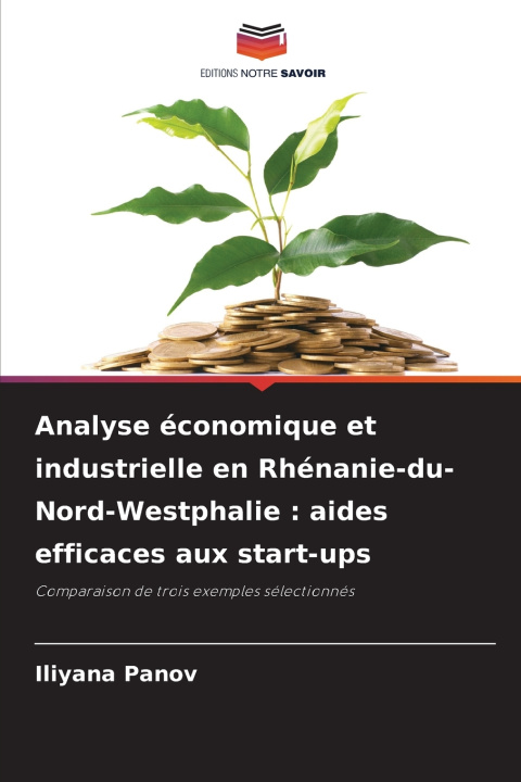 Kniha Analyse économique et industrielle en Rhénanie-du-Nord-Westphalie Iliyana Panov