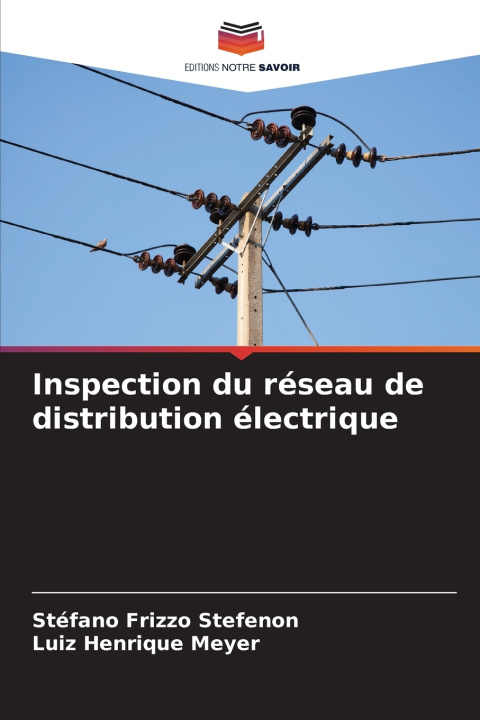 Knjiga Inspection du réseau de distribution électrique Stéfano Frizzo Stefenon