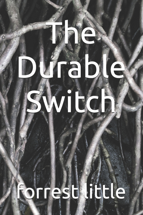 Kniha The Durable Switch forrest little