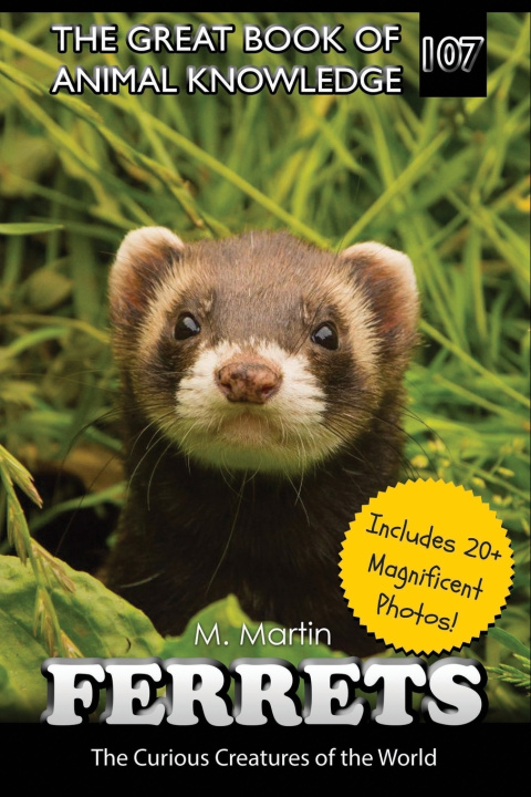Könyv Ferrets M Martin
