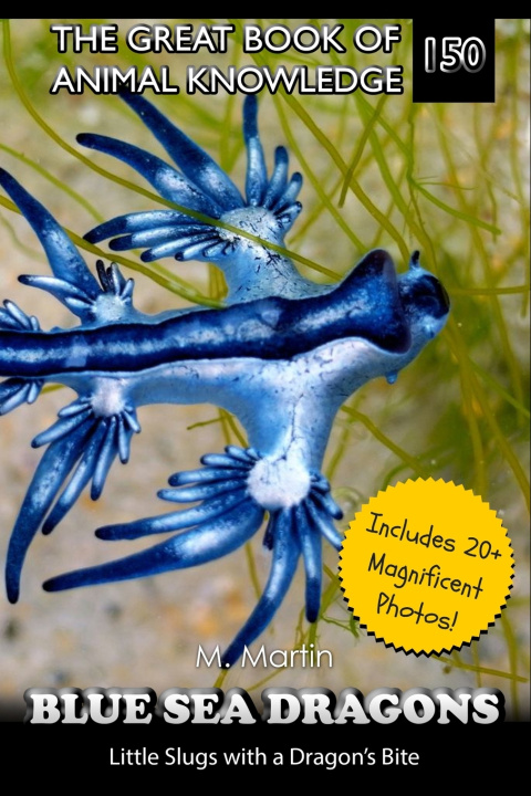 Könyv Blue Sea Dragons M Martin