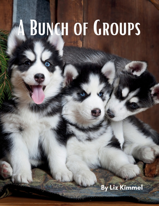 Książka A Bunch of Groups Liz Kimmel
