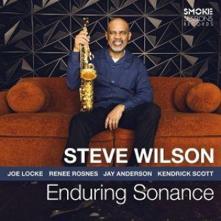 Audio Enduring Sonance Steve Wilson