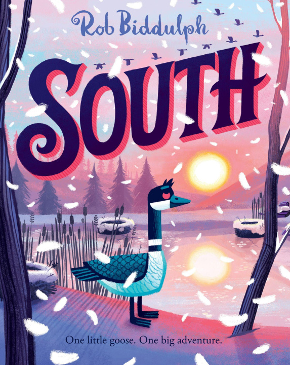 Kniha SOUTH Rob Biddulph