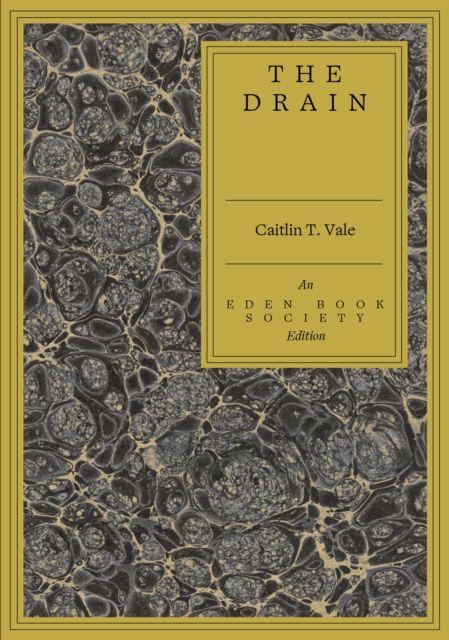 Kniha Drain Caitlin T. Vale