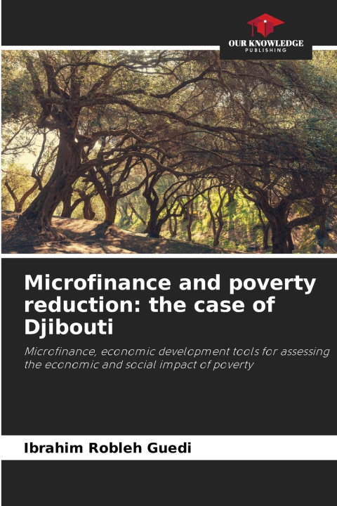 Kniha Microfinance and poverty reduction Ibrahim Robleh Guedi
