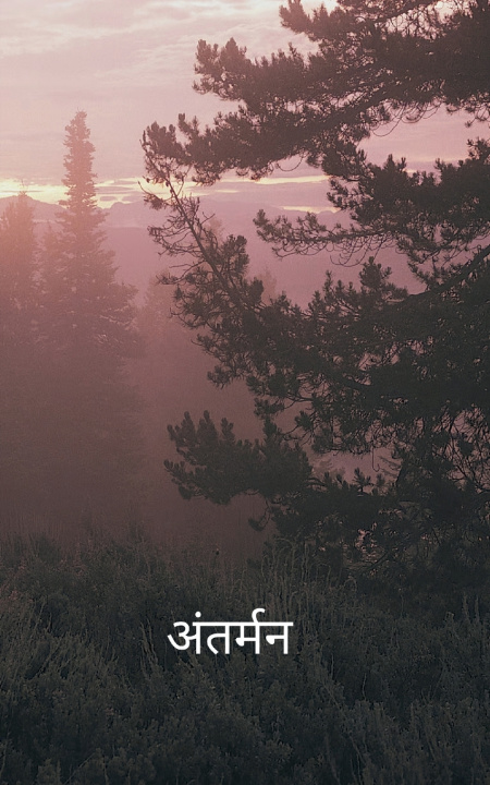 Kniha अंतर्मन मनोभाव की गूंज Santosh Sharma