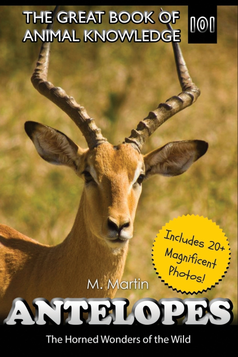Könyv Antelopes M. Martin