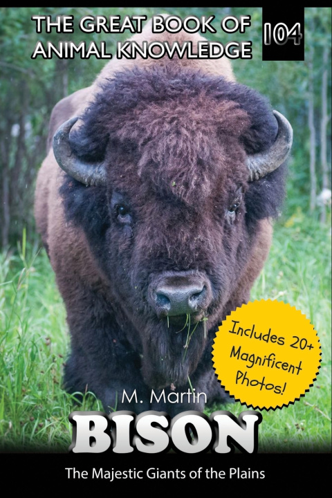Kniha Bison M Martin
