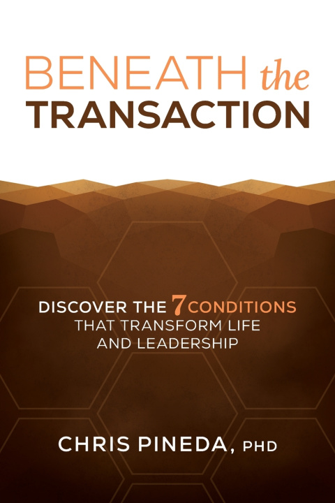 Kniha Beneath the Transaction Chris Pineda