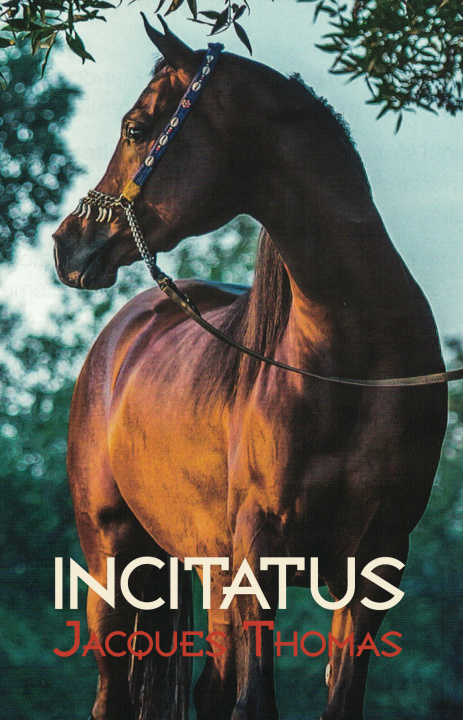 Kniha Incitatus Thomas
