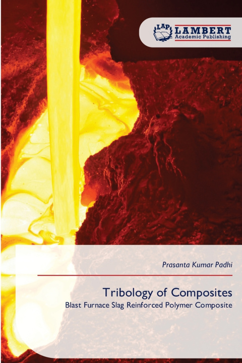 Knjiga Tribology of Composites Prasanta Kumar Padhi