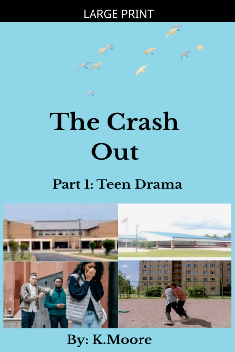 Kniha The Crash Out K.Moore