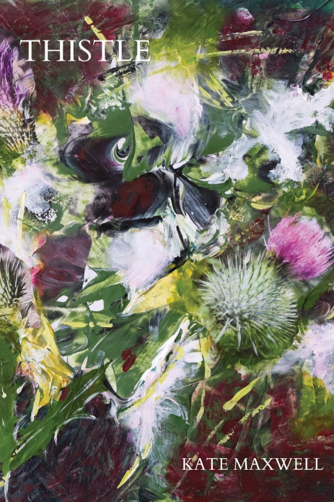 Kniha Thistle Kate Maxwell