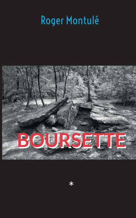 Könyv BOURSETTE MONTULE ROGER