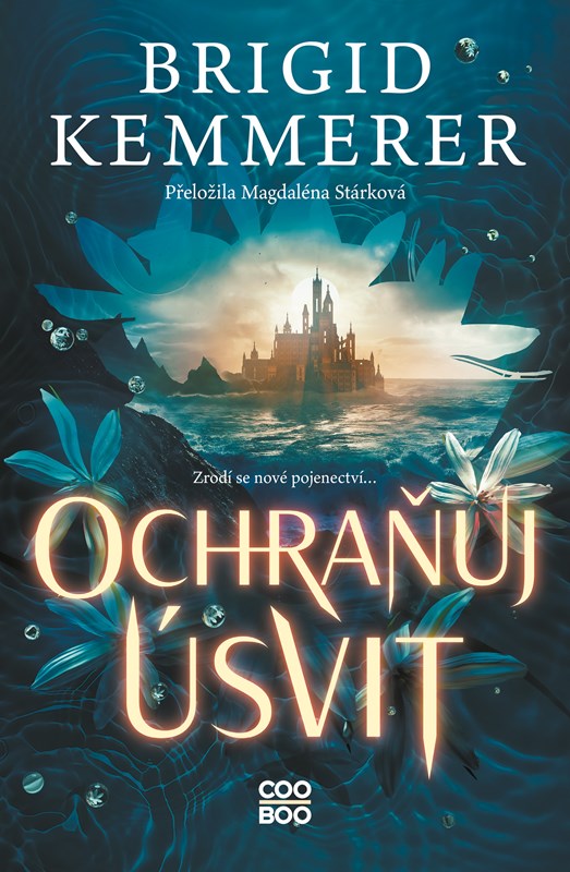 Carte Ochraňuj úsvit Brigid Kemmerer
