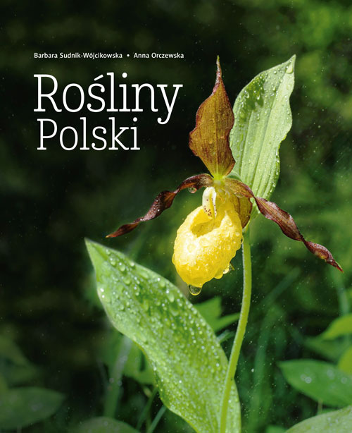 Knjiga Rośliny Polski wyd. 2026 Barbara Sudnik-Wójcikowska