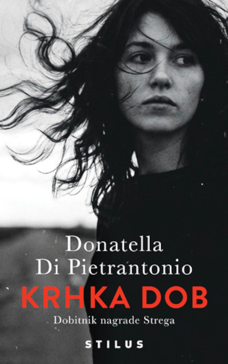 Buch Krhka dob Donatella Di Pietrantonio