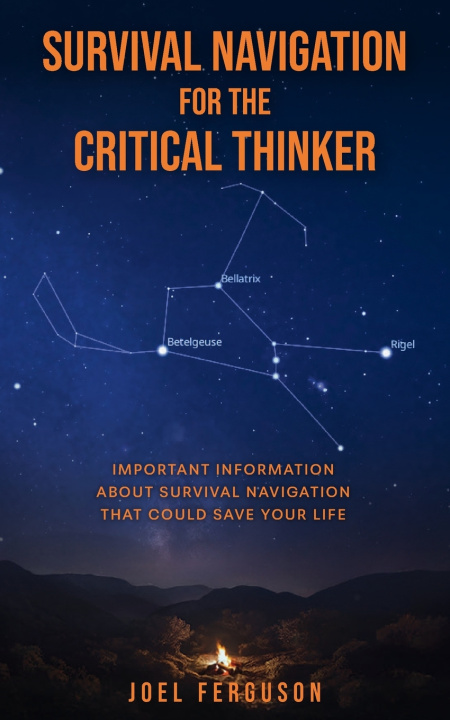 Kniha Survival Navigation for the Critical Thinker Joel Ferguson