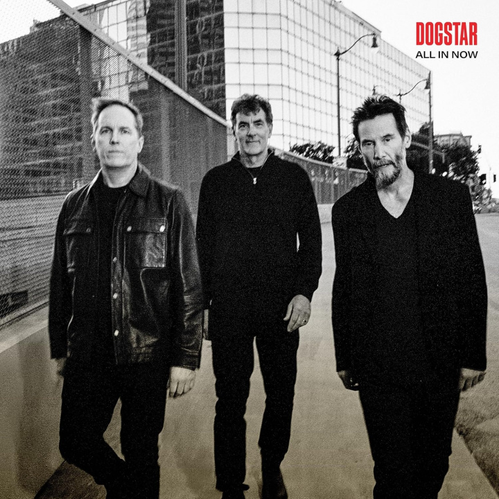 Audio Dogstar:  All In Now / 140Gr. Dogstar