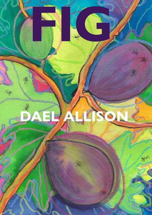 Kniha Fig Dael Allison