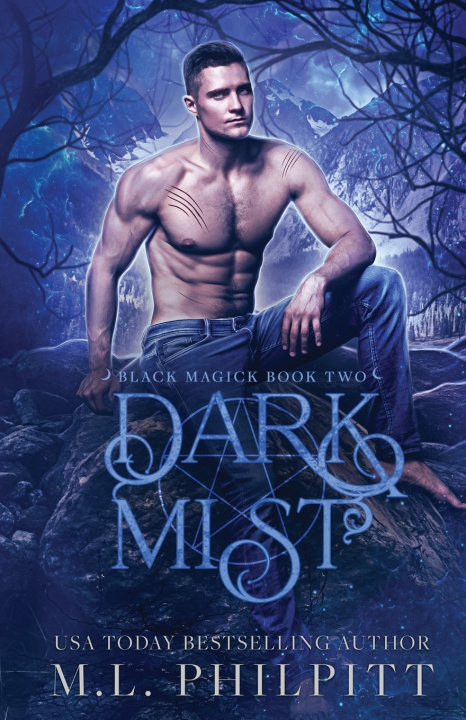 Kniha Dark Mist M.L. Philpitt
