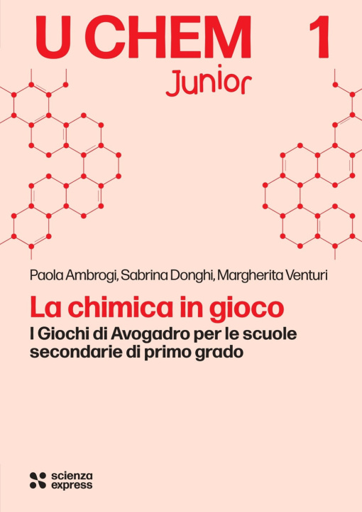 Kniha chimica in gioco Paola Ambrogi