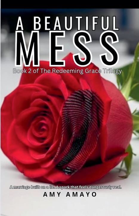Kniha A Beautiful Mess Amy Amayo