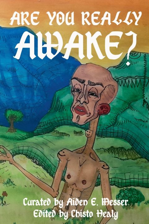 Kniha Are you really awake? Aiden E. Messer
