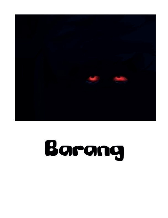 Kniha Barang Palmore