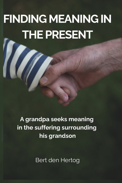 Kniha Finding Meaning in the Present Bert den Hertog
