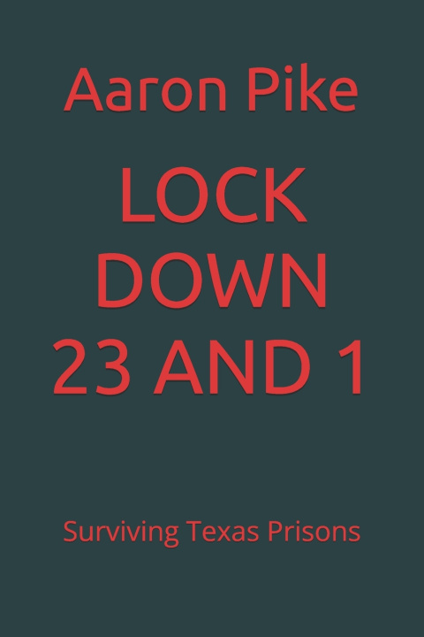 Kniha LOCKDOWN Aaron J Pike
