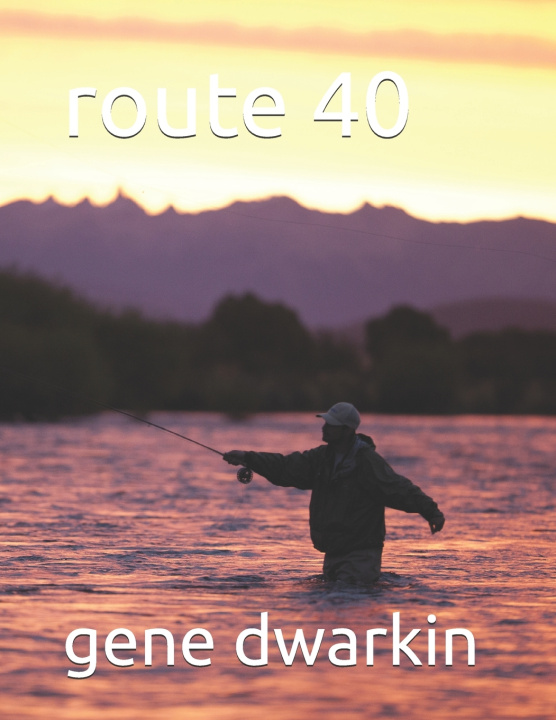 Knjiga route 40 gene dwarkin