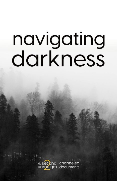 Kniha Navigating Darkness David Hrostoski