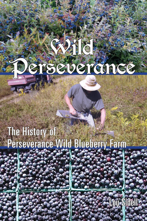 Kniha Wild Perseverance Lou Sidell