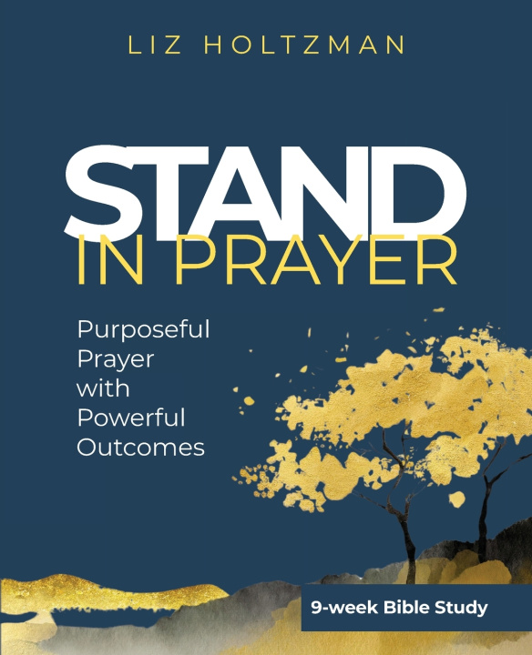 Kniha Stand in Prayer Liz Holtzman