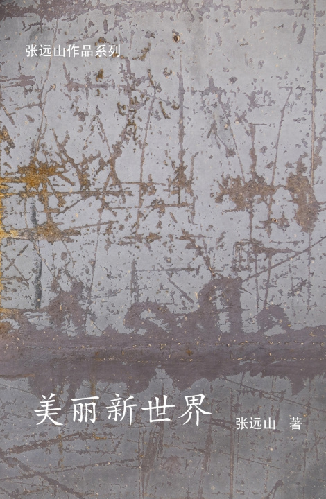 Knjiga 美丽新世界 张远山