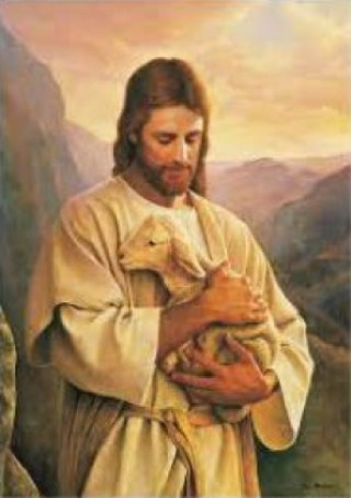 Kniha Jesus of Nazareth Sophie Clancy