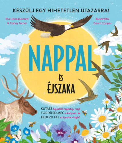 Kniha Nappal és éjszaka Jane Burnard