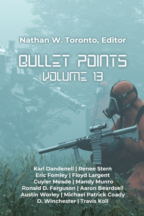 Kniha Bullet Points 13 Karl Dandenell