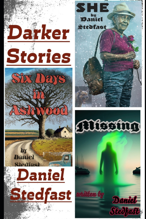 Kniha Darker Stories Daniel Stedfast