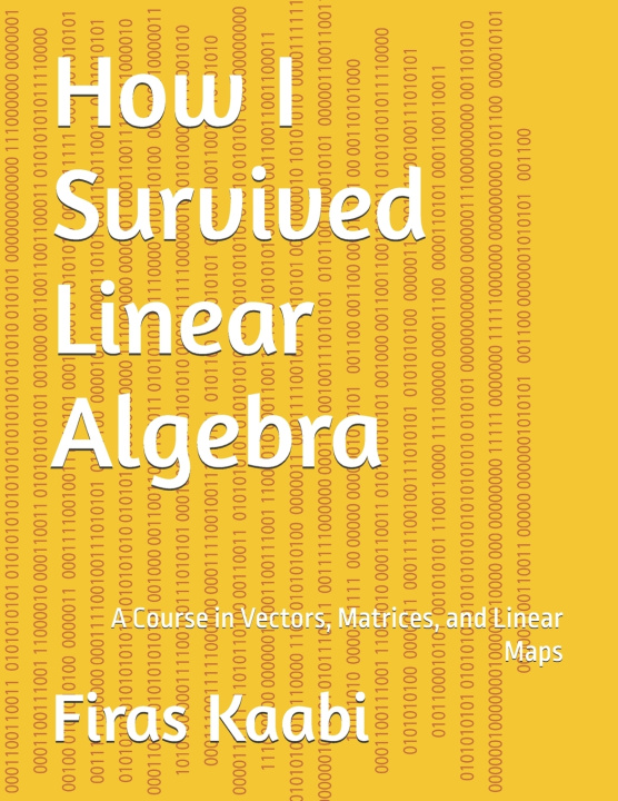 Kniha How I Survived Linear Algebra Firas Kaabi