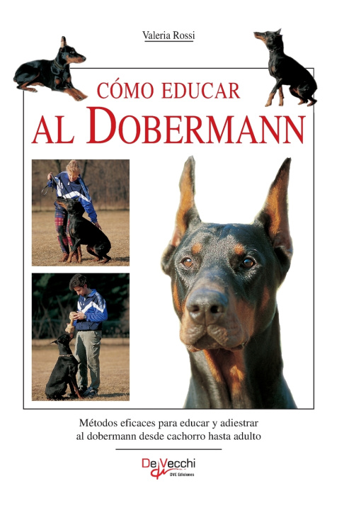 Kniha Cómo educar al dobermann Valeria Rossi