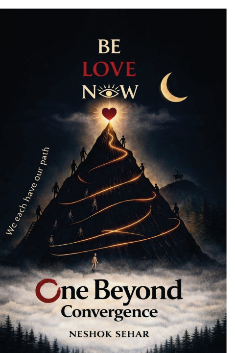 Kniha One Beyond Convergence Neshok Sehar
