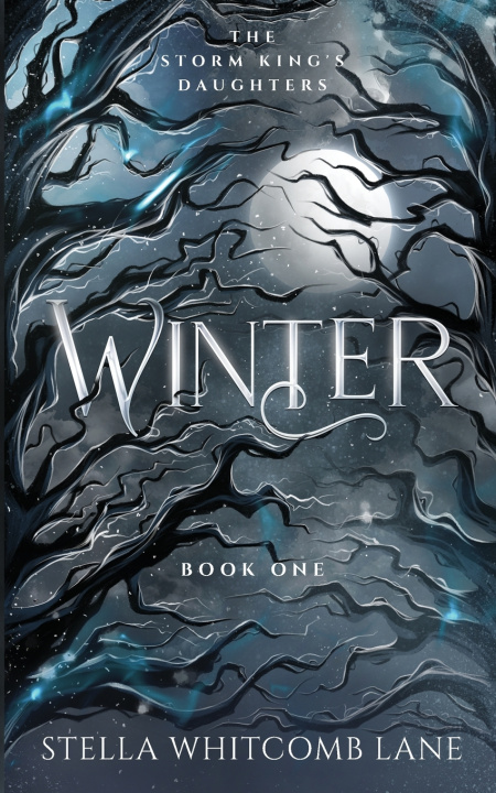 Kniha Winter Stella Whitcomb Lane