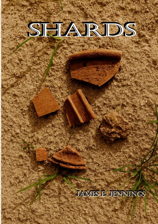Kniha Shards James E. Jennings